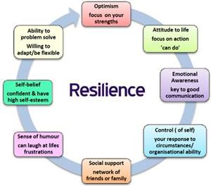Resilience Model